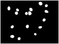 Descripcin: Macintosh HD:Users:antoni:UIB:Bases de Dades Recerca:Version 2:erythrocytesIDB2:01erythrocytesIDB2:mask-circular.jpg