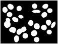 Descripcin: Macintosh HD:Users:antoni:UIB:Bases de Dades Recerca:Version 2:erythrocytesIDB3:01erythrocytesIDB3:mask.jpg